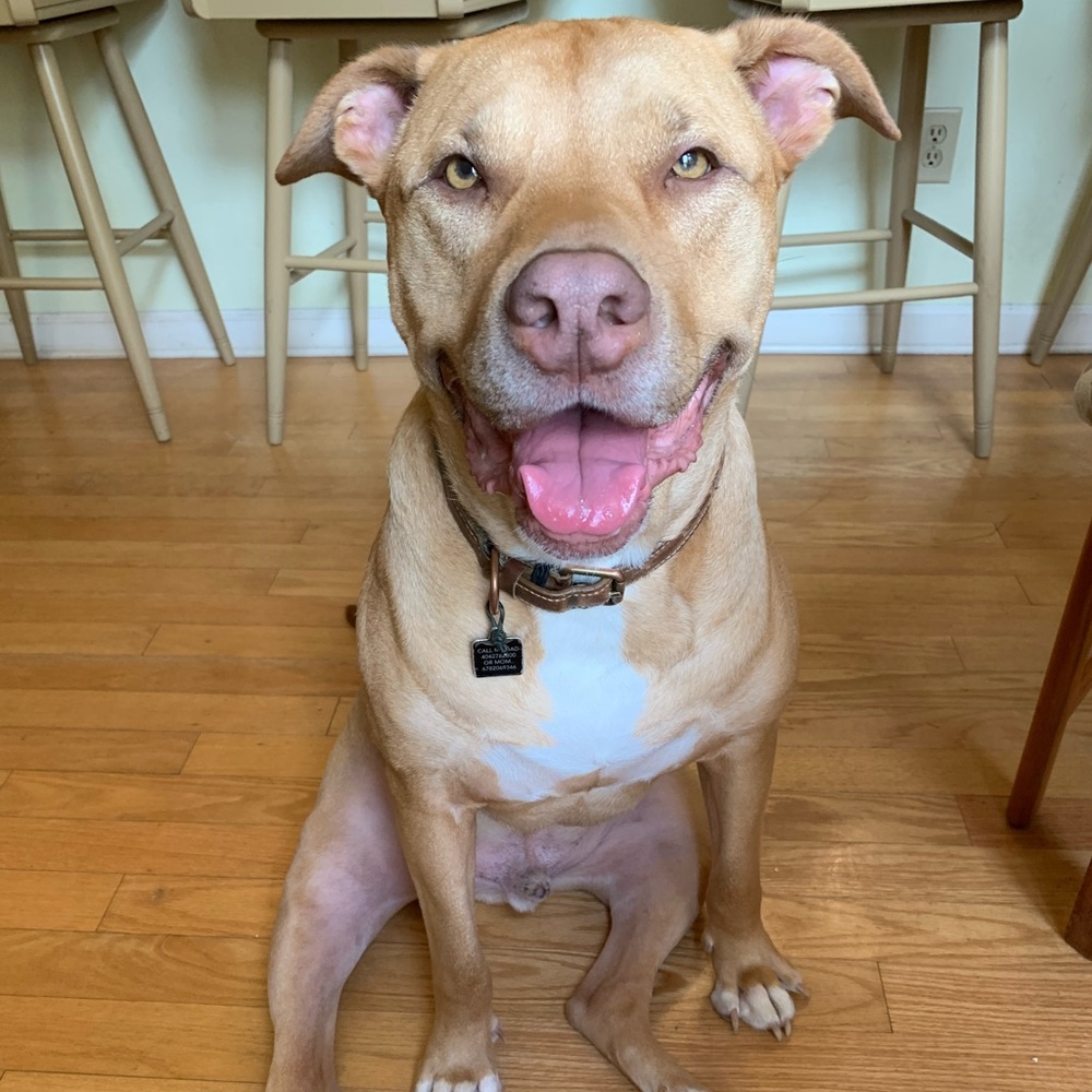 Meet your Posher, Lindsey